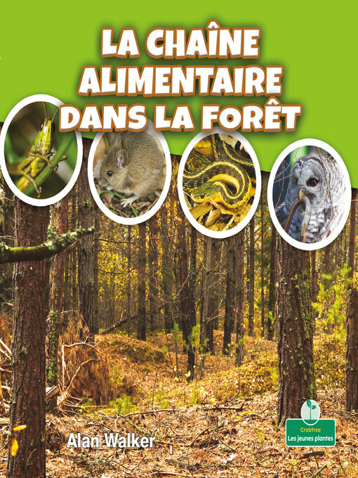 Title details for La chaîne alimentaire dans la forêt (Food Chain in a Forest) by Alan Walker - Available
